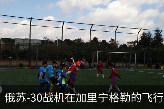 俄苏-30战机在加里宁格勒的飞行训练中坠毁，机组人员已弹射逃生