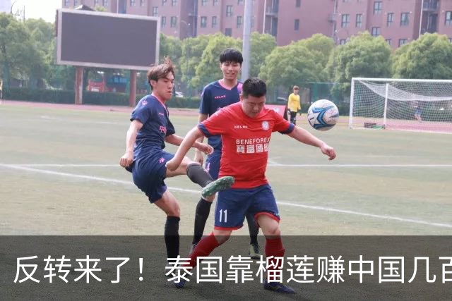 反转来了！泰国靠榴莲赚中国几百亿，却开始嫌中国水果便宜