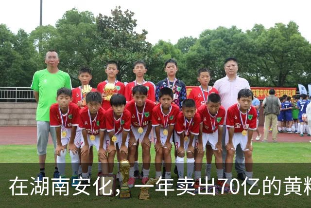 在湖南安化，一年卖出70亿的黄精，到底哪些人在买