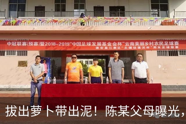 拔出萝卜带出泥！陈某父母曝光，扬州公司洗白，背后的人憋不住了