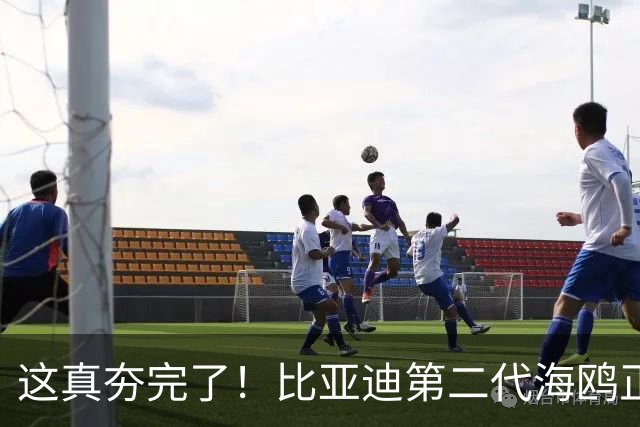 这真夯完了！比亚迪第二代海鸥正式公布发布价，6.29万元起